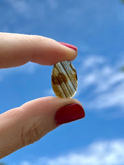 Montana Agate Rope Ring - Q