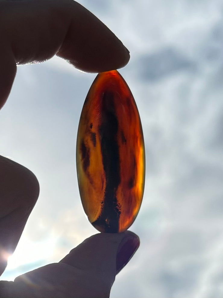 Montana Agate Rope Ring - J