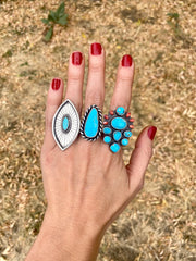 Sonoran Blue Jay Cluster Ring - LG